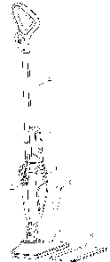 Exploded Diagram A Diagram and Parts List for BDH1715SMAPB Type 1 Black and Decker Steamer